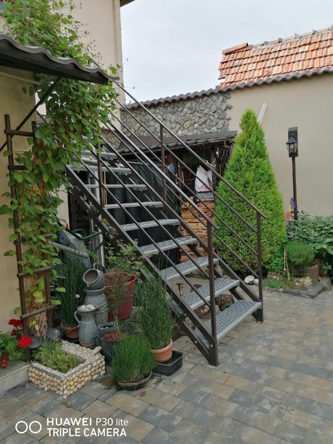 Hotel Rasnov Retreat Exteriér fotografie