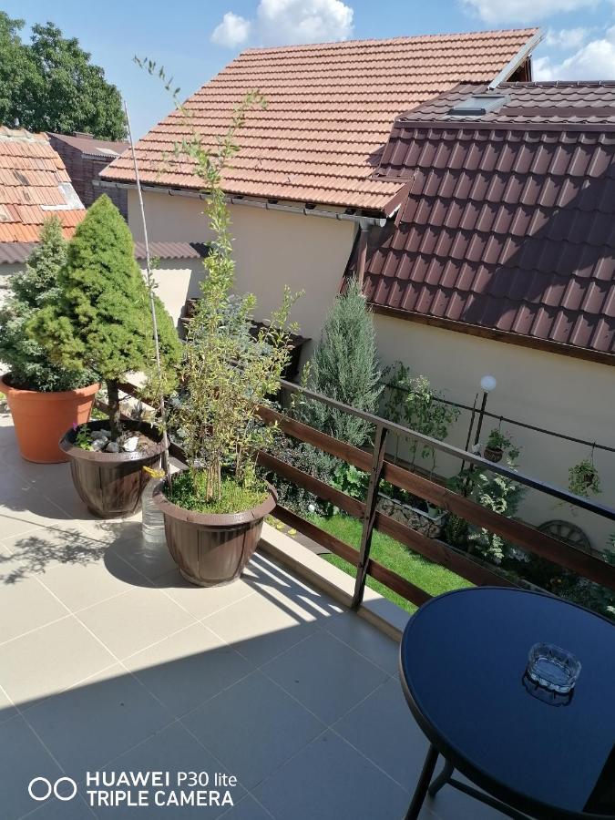 Hotel Rasnov Retreat Exteriér fotografie